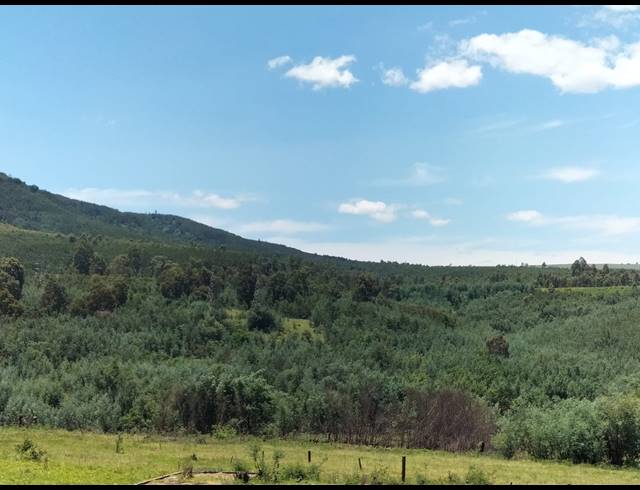 FARM SOLD IN NEWCASTLE RURAL